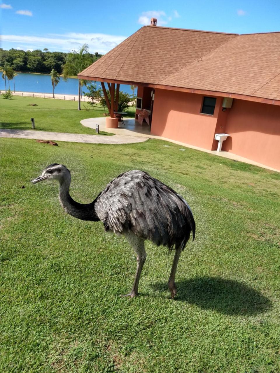 Malai Manso Cotista - Resort Acomodacoes 4 Hosp (Adults Only) Retiro  Екстер'єр фото